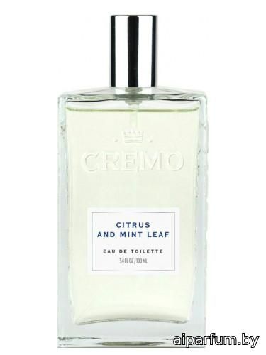 Citrus and Mint Leaf