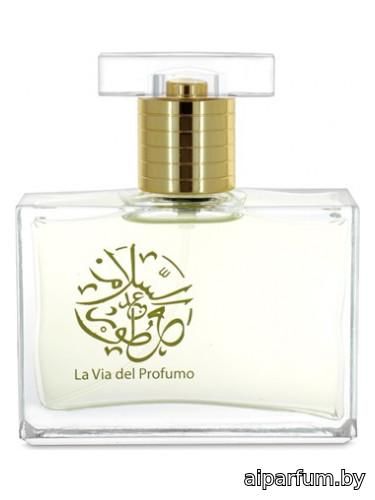 Holy Water