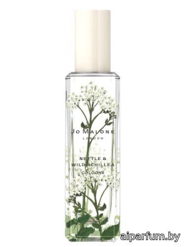 Nettle & Wild Achillea