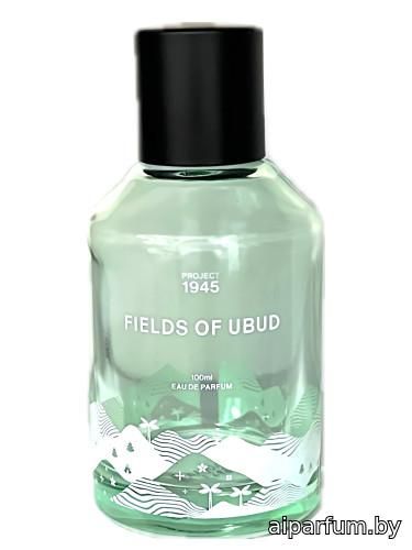 Fields of Ubud