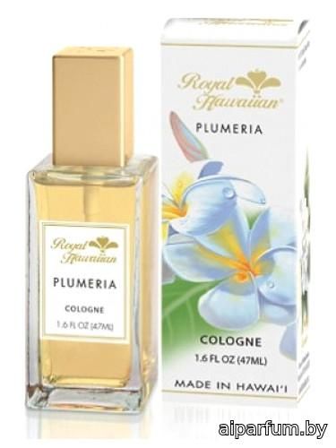 Plumeria