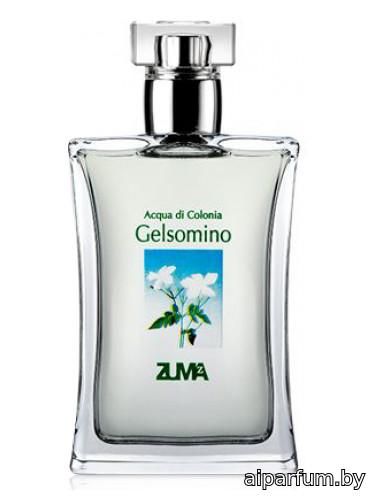 Gelsomino