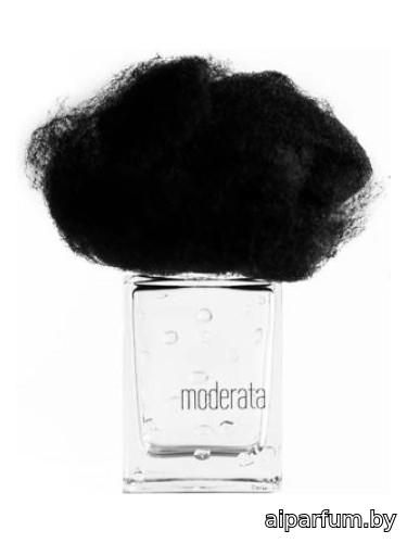 Pioggia Moderata