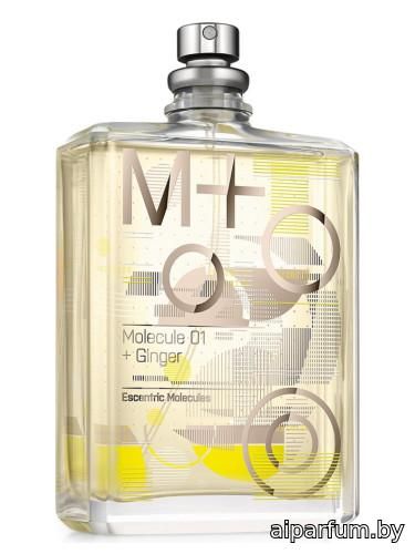 Molecule 01 + Ginger
