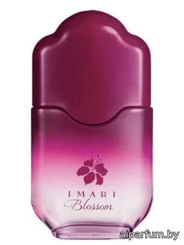 Imari Blossom