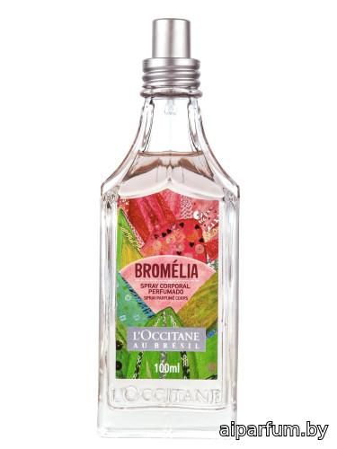 Bromélia