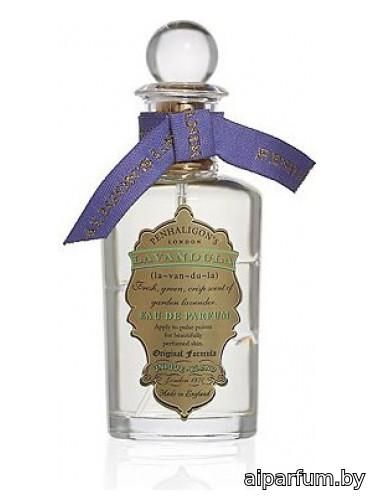 Lavandula