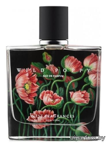 Wild Poppy