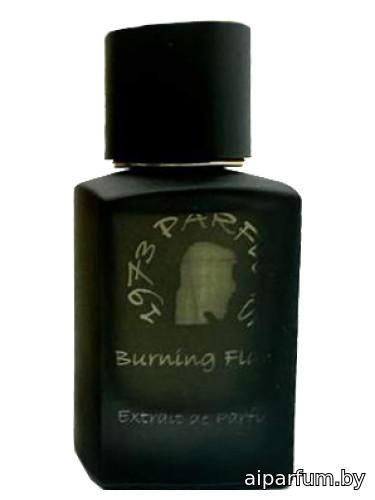 Burning Flame