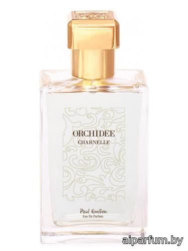 Orchidée Charnelle