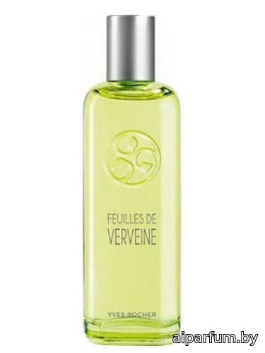Feuilles de Verveine