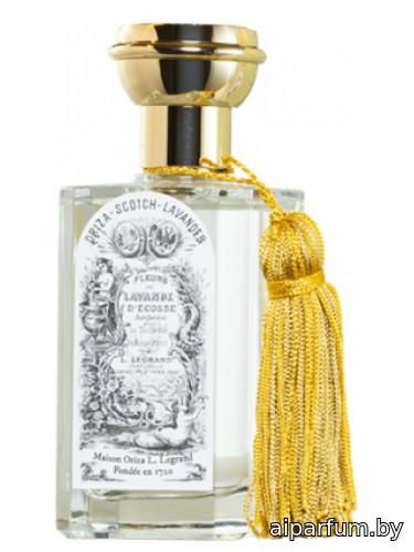 Scotch Lavender