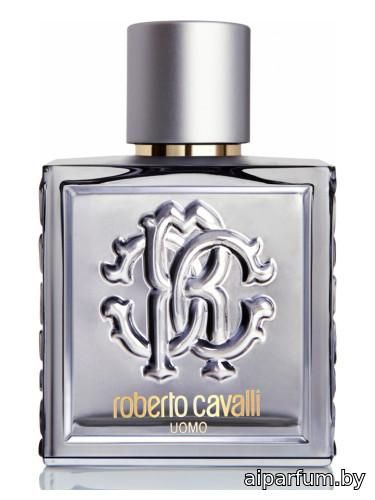 Roberto Cavalli Uomo Silver Essence