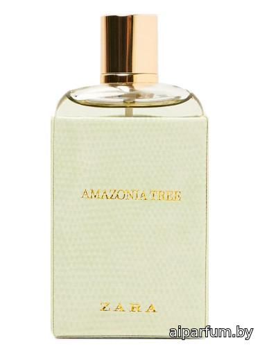 Amazonia Tree