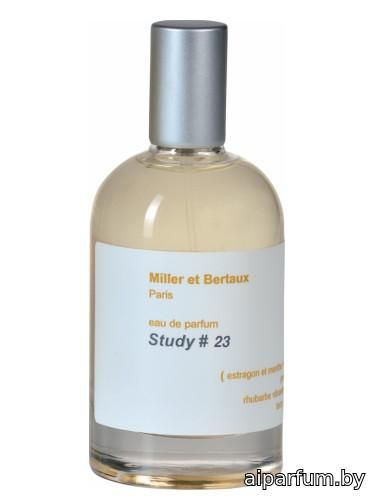 Study No. 23 / Newsletter