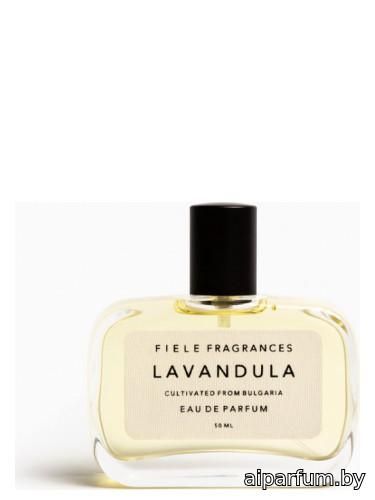 Lavandula