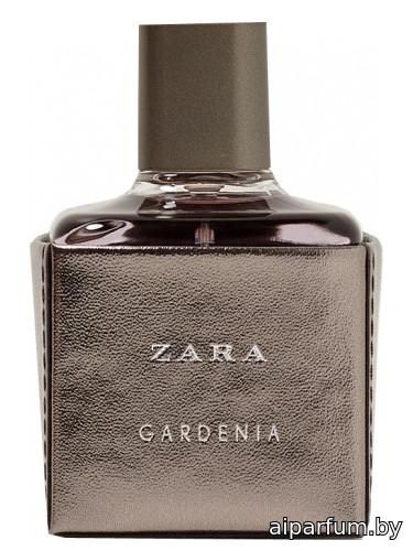 Zara Gardenia 2017