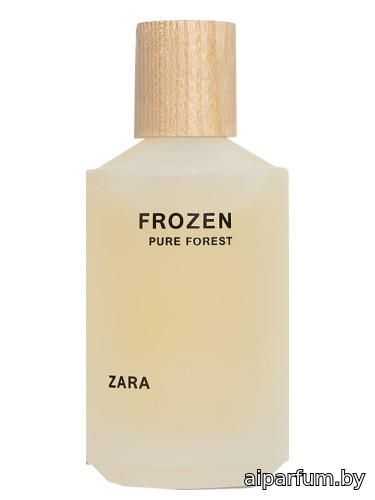 Frozen Pure Forest