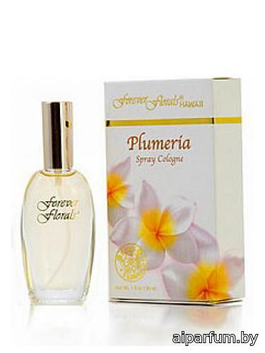 Plumeria