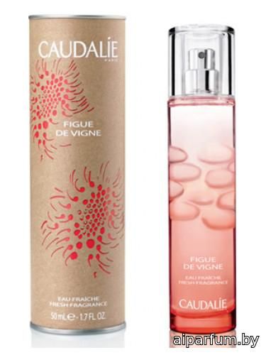 Figue de Vigne Eau Fraiche