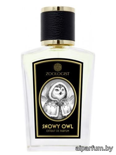 Snowy Owl