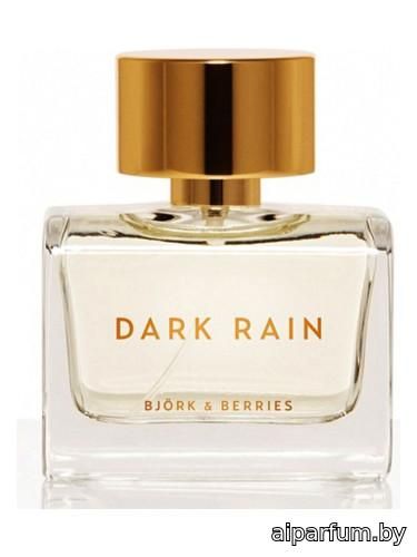 Dark Rain