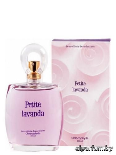 Petite Lavanda