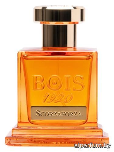 Scorzaforza