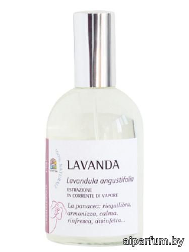 Lavanda