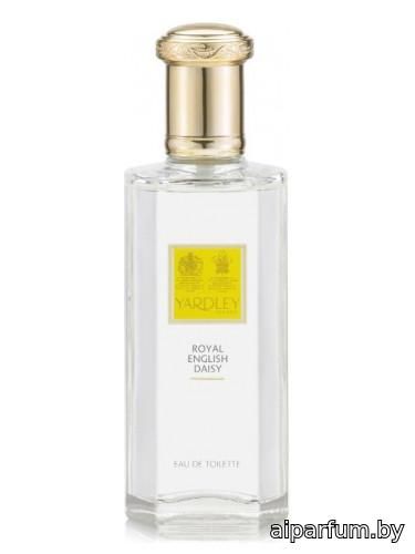 Royal English Daisy