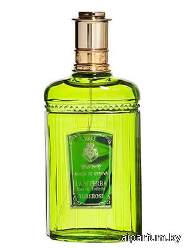 Tuberosa