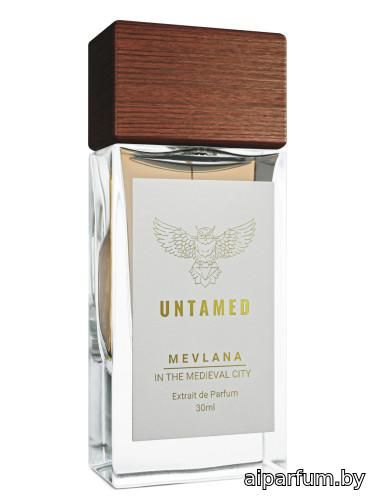 Mevlana - In The Medieval City
