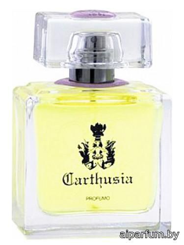 Gelsomini di Capri