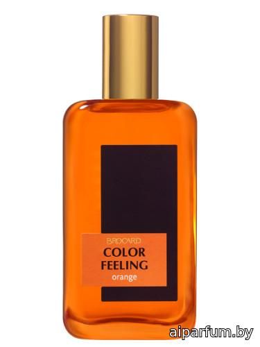 Color Feeling Orange