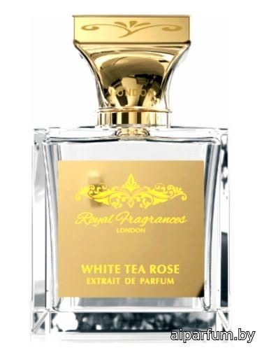 White Tea Rose