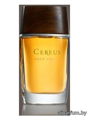 Cereus No.11