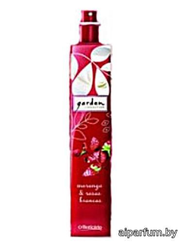 Morango e Rosas Brancas