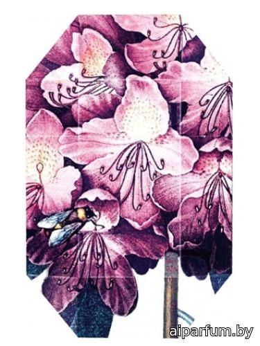 Print Collection Stella 01 (2011)