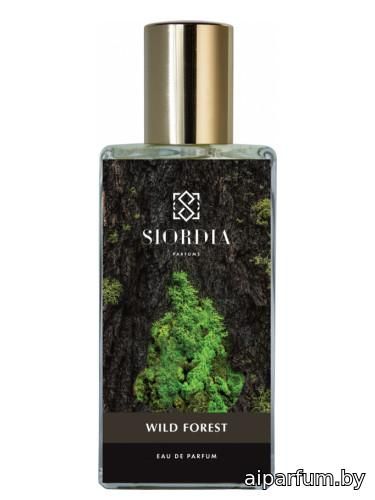 Wild Forest