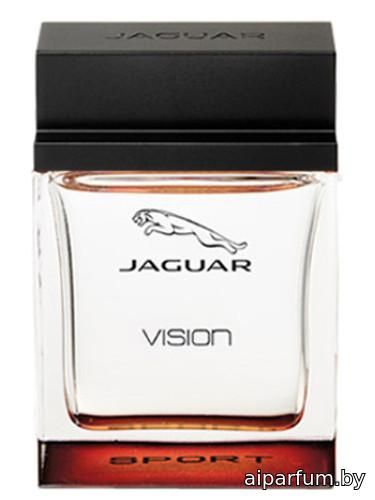 Jaguar Vision Sport