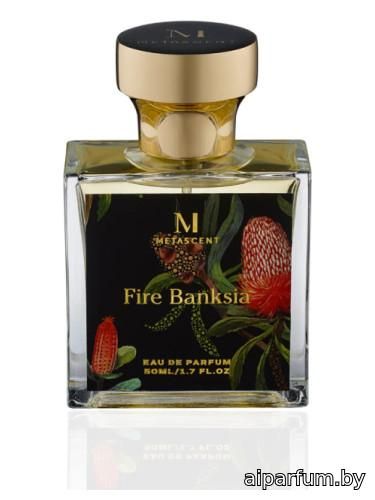 Fire Banksia