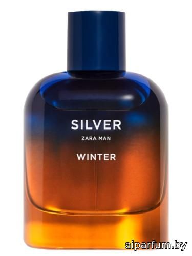 Silver Winter Zara Man