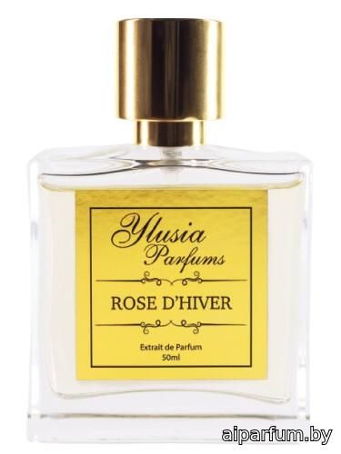 Rose d'Hiver