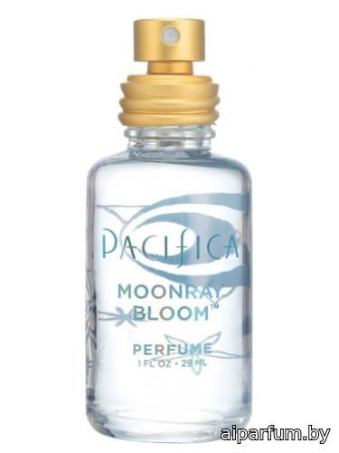 Moonray Bloom