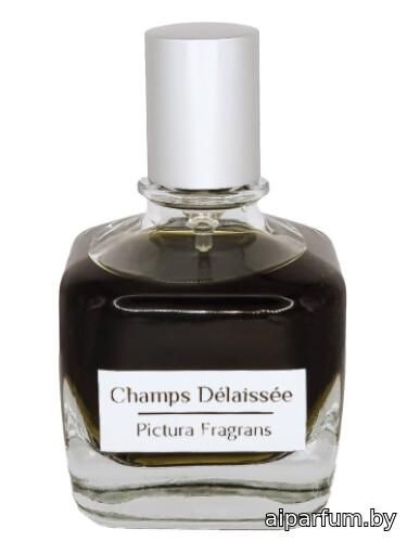 Champs Délaissée