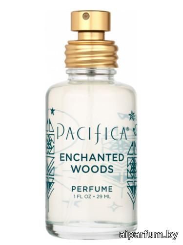 Enchanted Woods