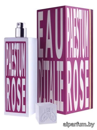 Paestum Rose