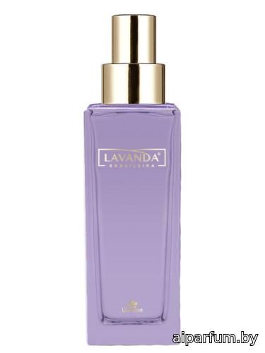 Lavanda Brasileira
