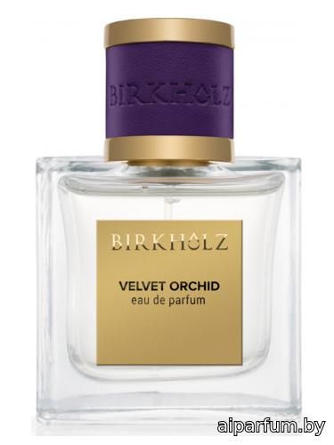 Velvet Orchid