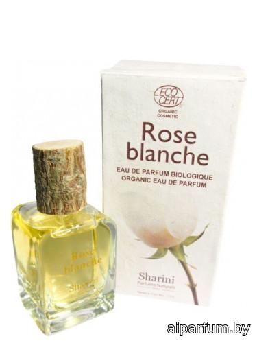 Rose Blanche